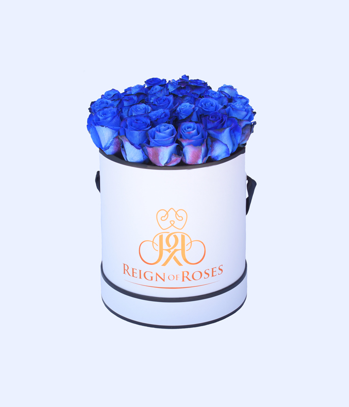CONTESSA_BLUE.jpg
