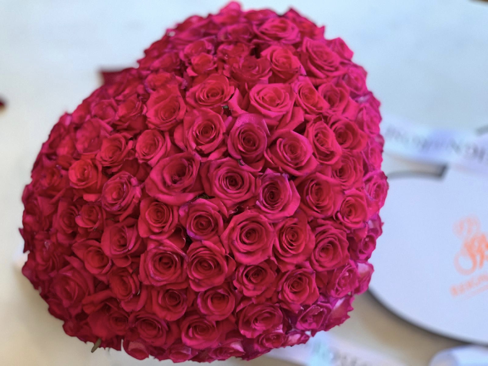 9c977a01-edc6-4231-96c8-157196b55b2e 2.jpg