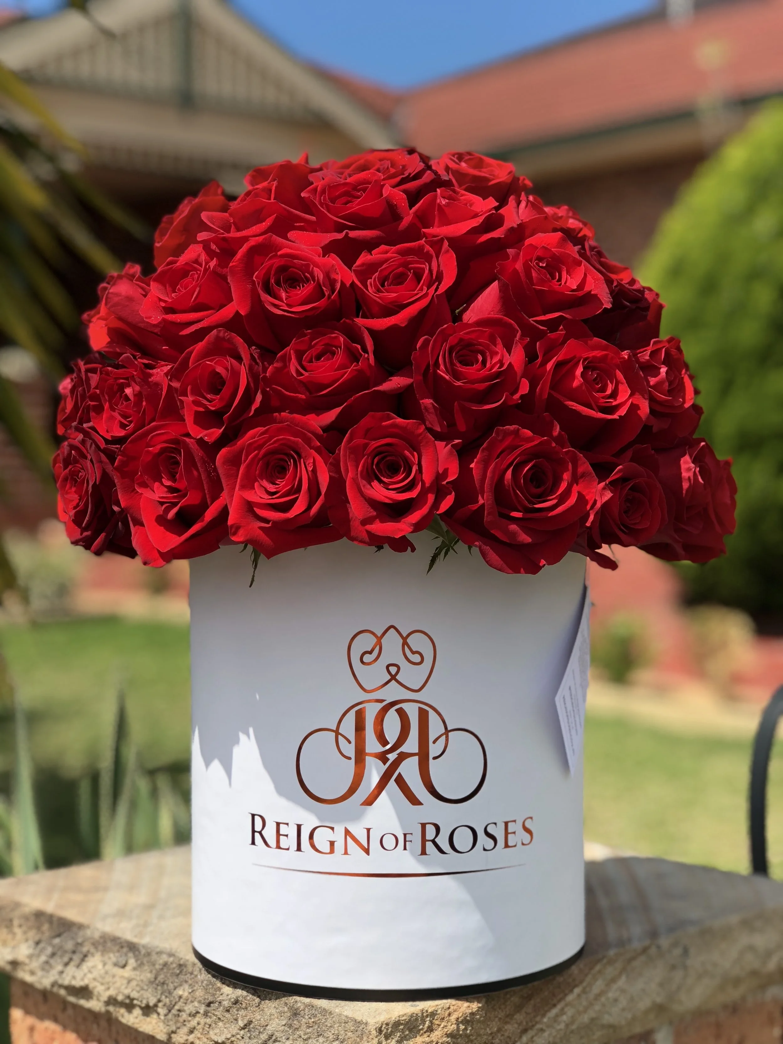 Classic Red 50 Roses