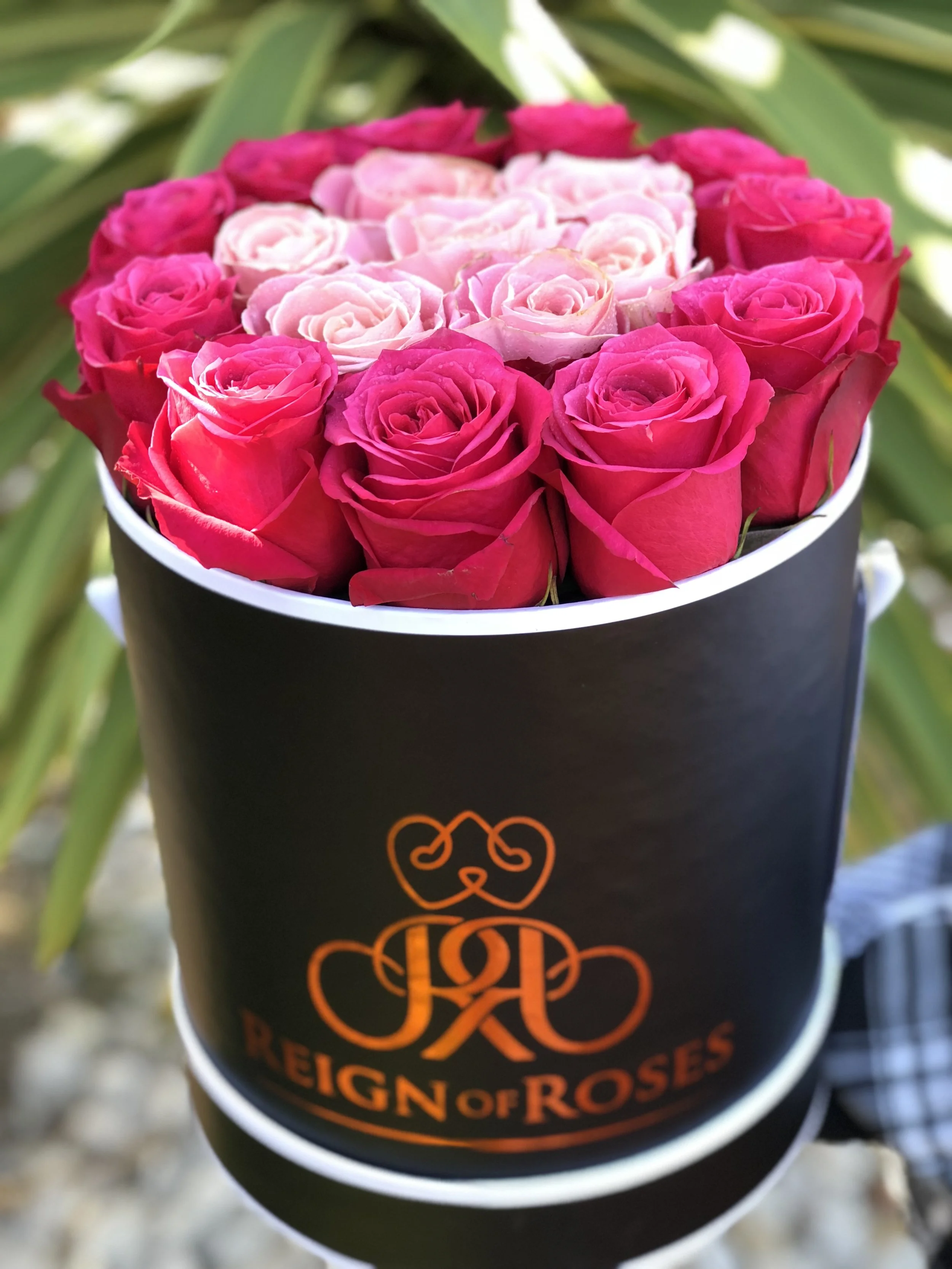 Pink Ombre (23-25 Roses)