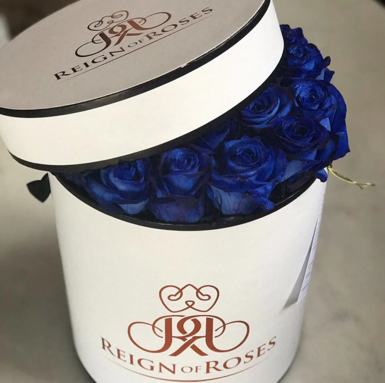 85ABC555-9B03-4EF3-A15C-903CDA86032D