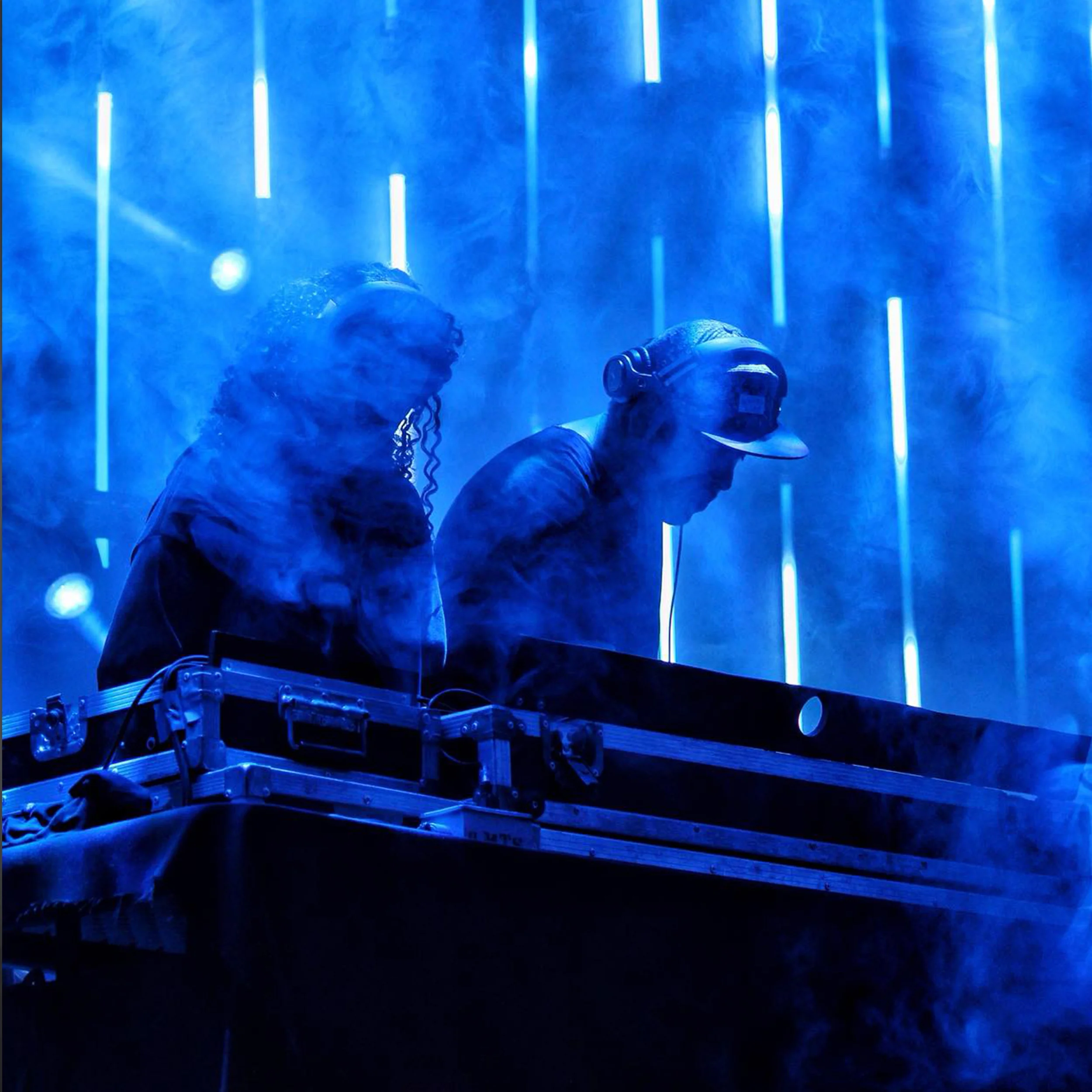 moose & bear.jpg