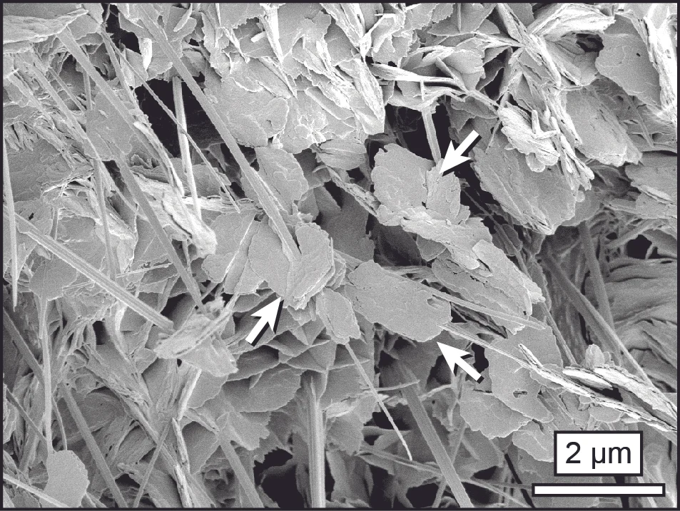 Hydromagnesite plates amongst magnesium oxychloride cement crystals.