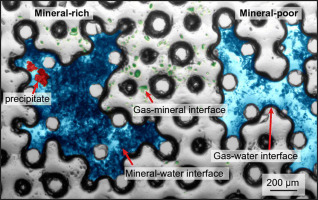 Image of microfluidics experiment showing mineral-rich and -poor zones that impact geochemical reactions.