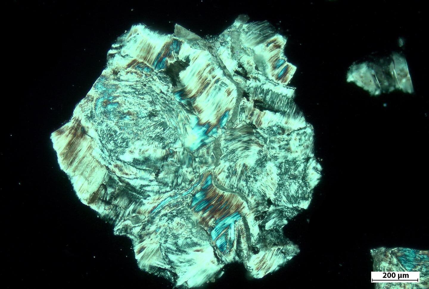 Brucite grain (1 &mu;m) viewed under cross polarized light using a @zeiss_microscopy Axioscope. This mineral is found in #serpentinite and is excellent for #CO2removal. The PowerGeolab.com is investigating #brucite #carbonation in mine wastes @TrentU