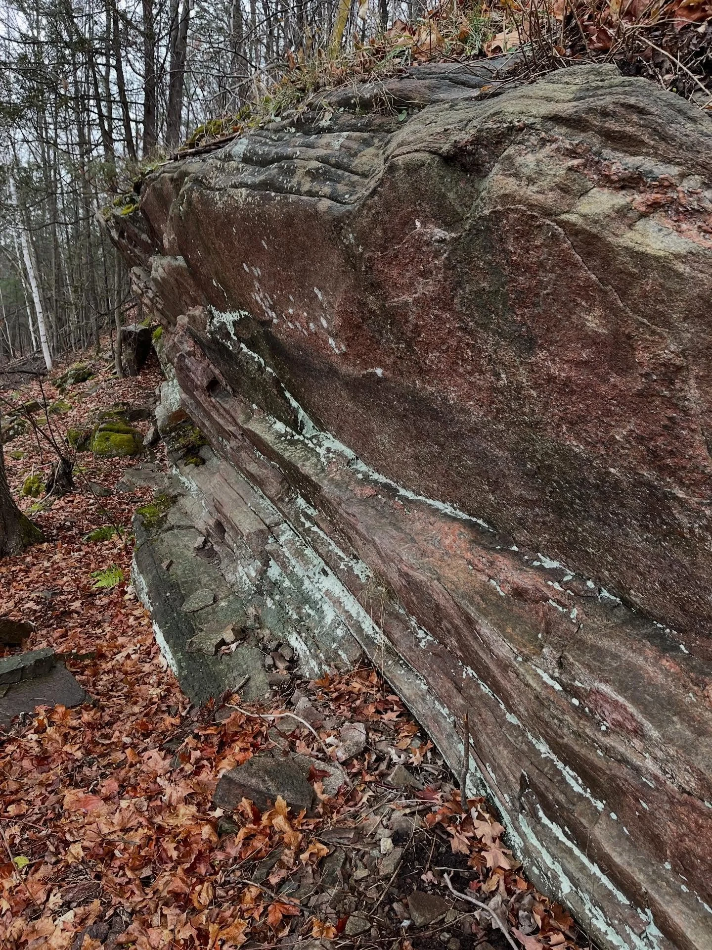 Here, @TrentUniversity, we&rsquo;re fortunate to be very close to the Grenville geologic province, the Kawartha Highlands, and Bancroft, Canada&rsquo;s mineral capital.  A short drive takes us to outcrops displaying angular unconformities, U-bearing 
