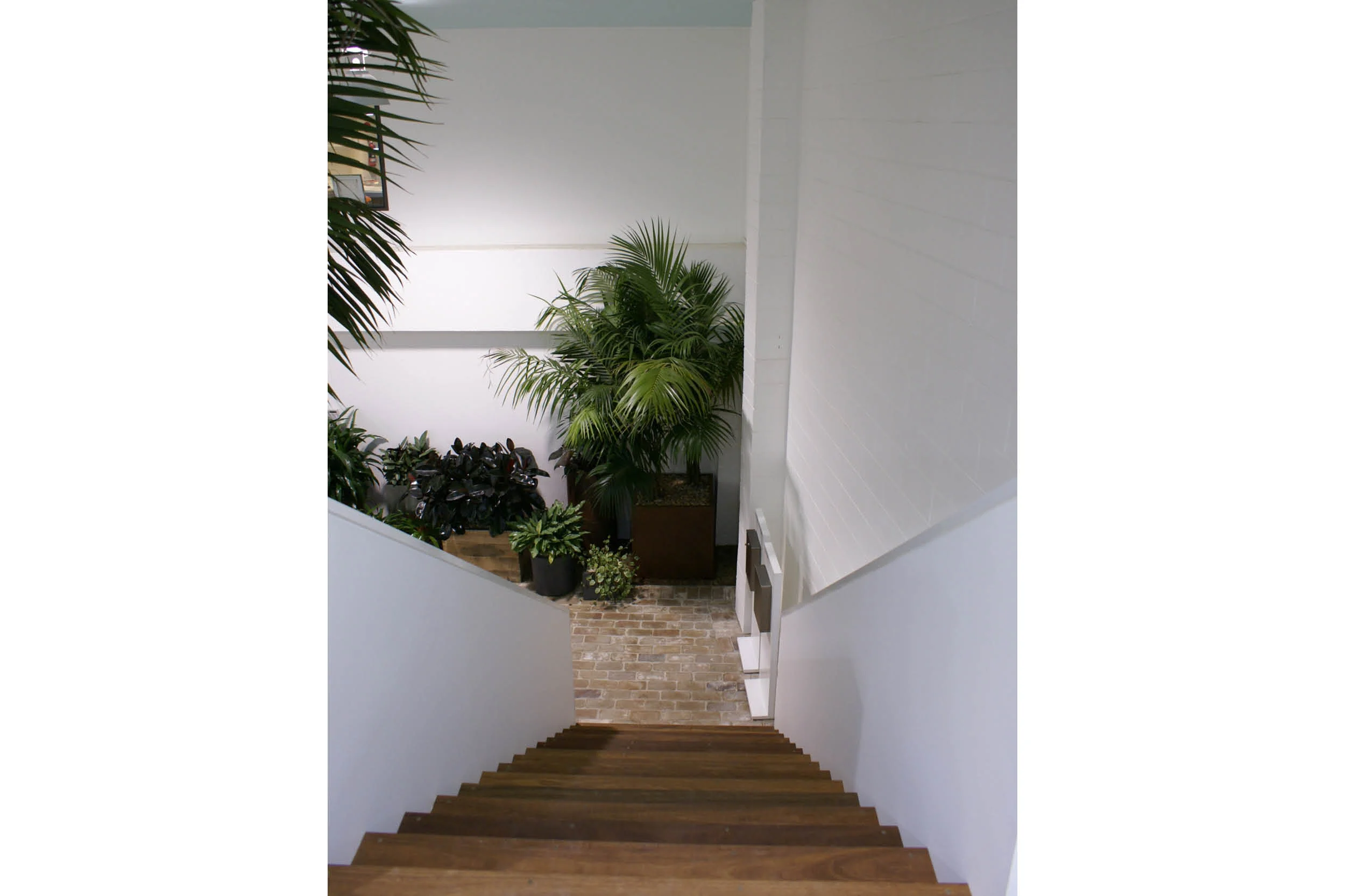 ROBERT PLUMB 27.11.20173.jpg