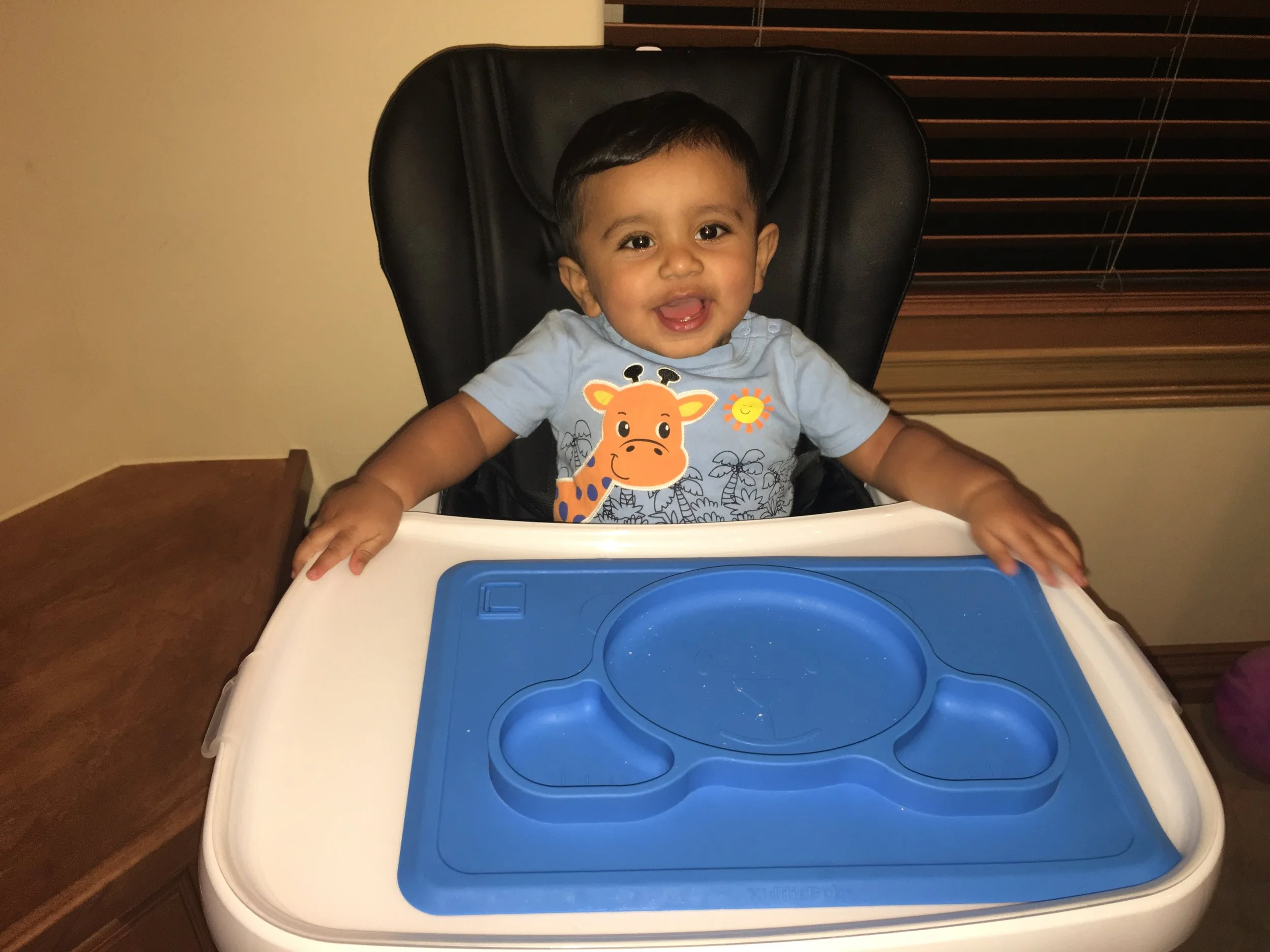 First Solids and Feeding Schedule!