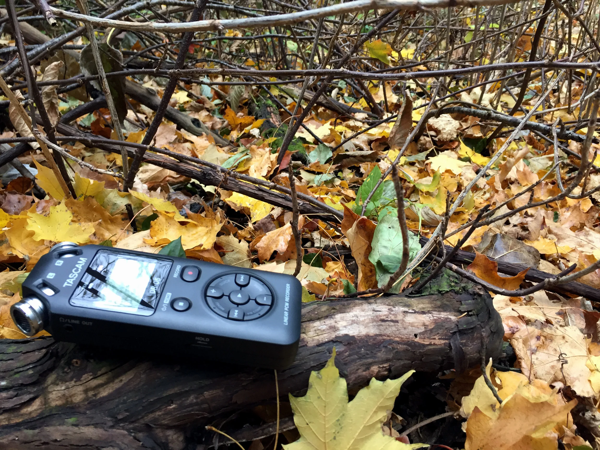 Tascam_woods.jpg