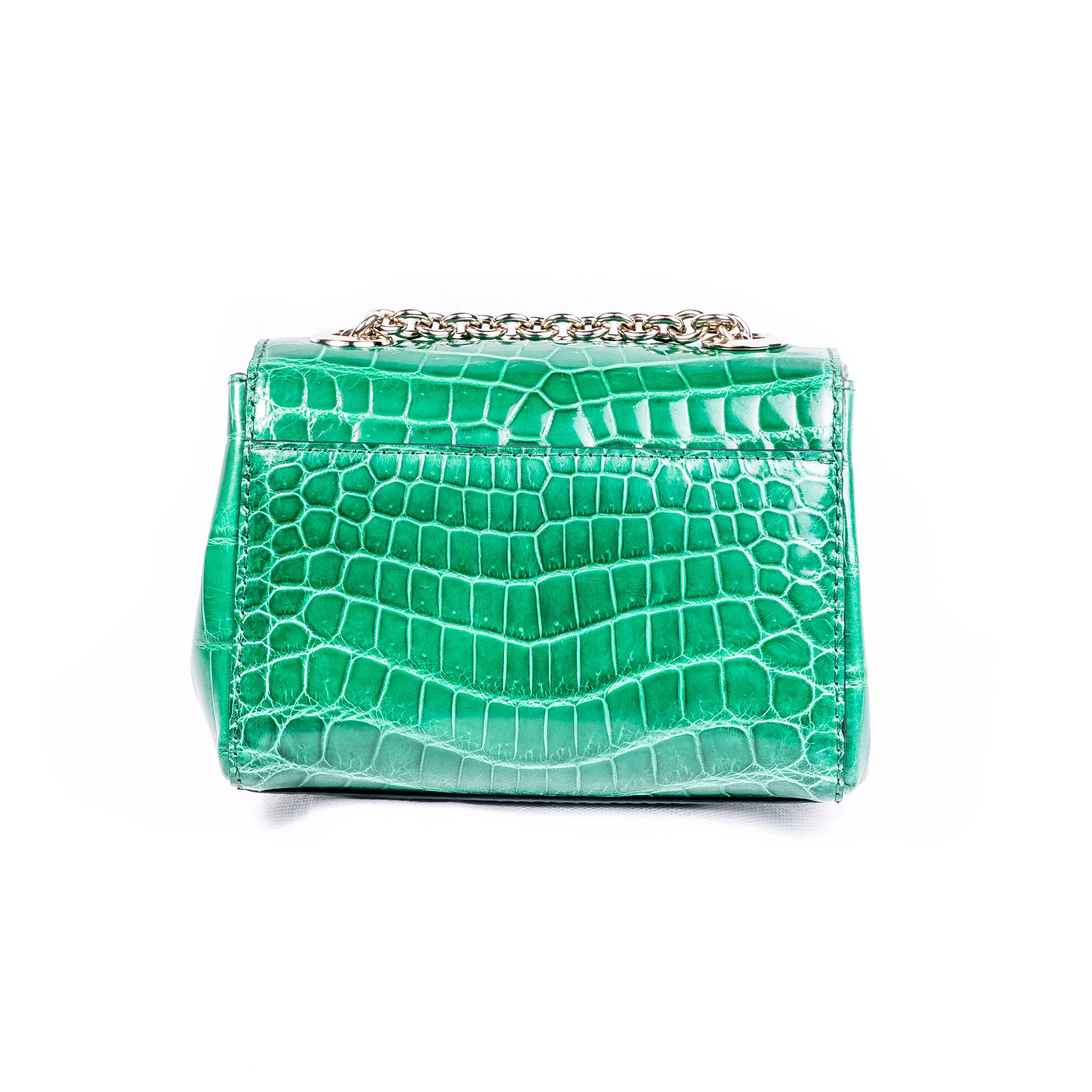 alexandra-clancy-alligator-small-green-b.jpg