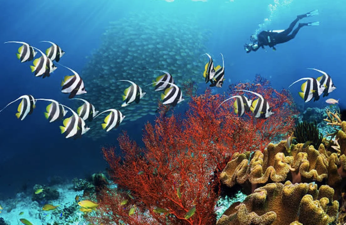 bonaire.jpeg