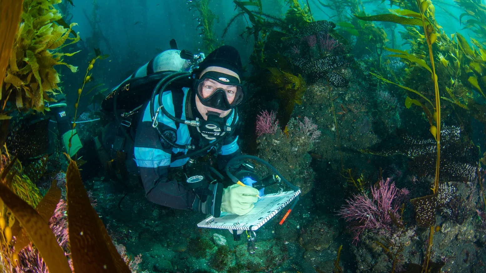 reef check.jpeg