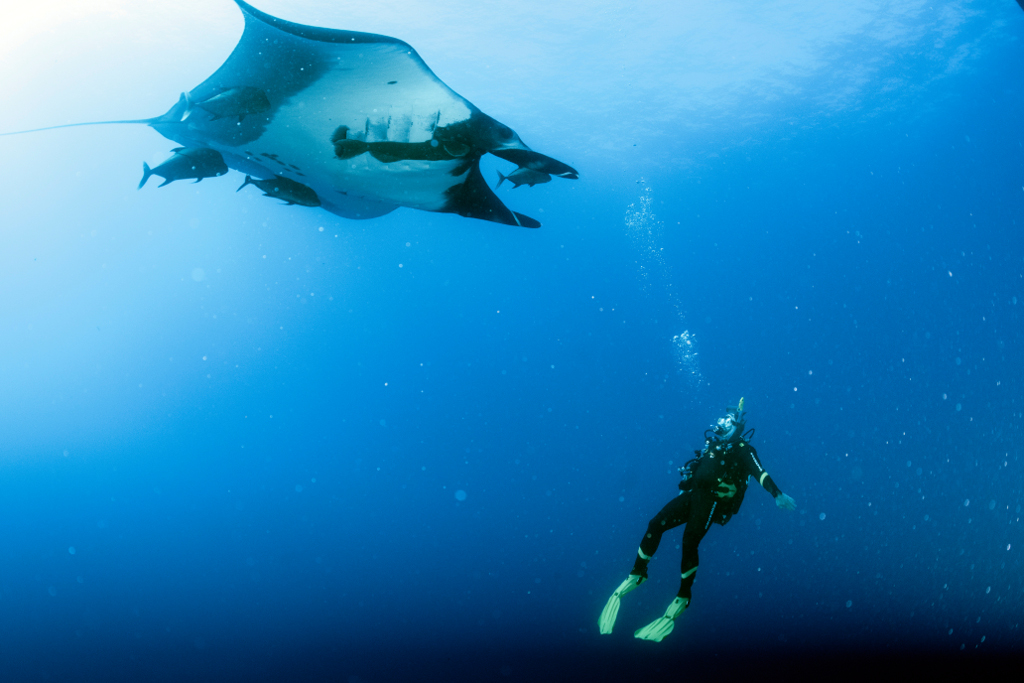 Socorro_June2019_583c.jpg