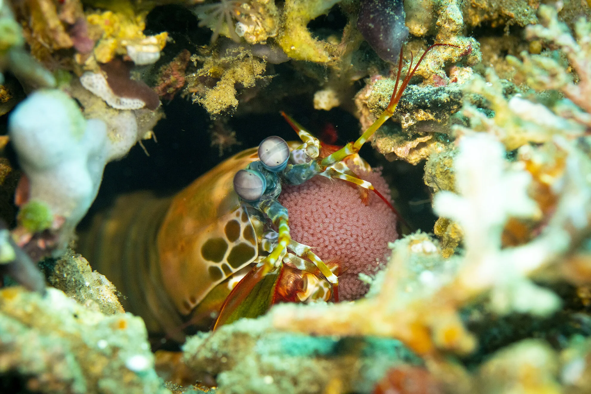 a_Dumaguete_July2019_010 copy.jpg