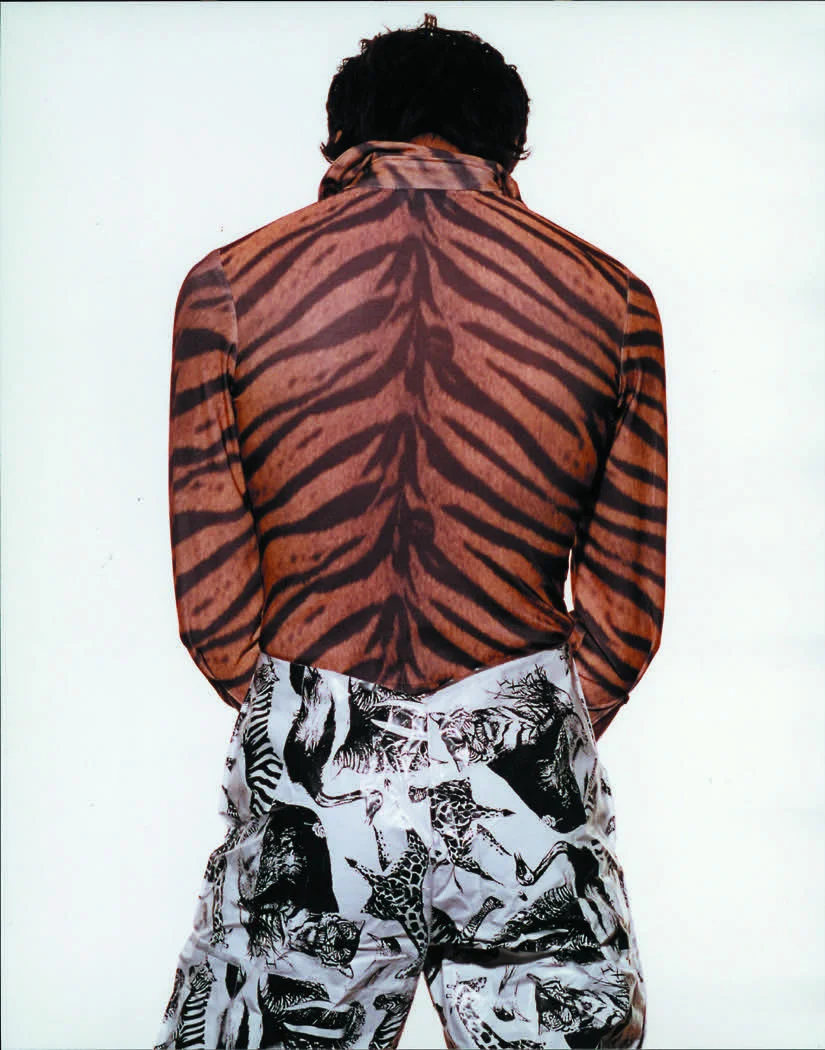 zebrafashion.jpg