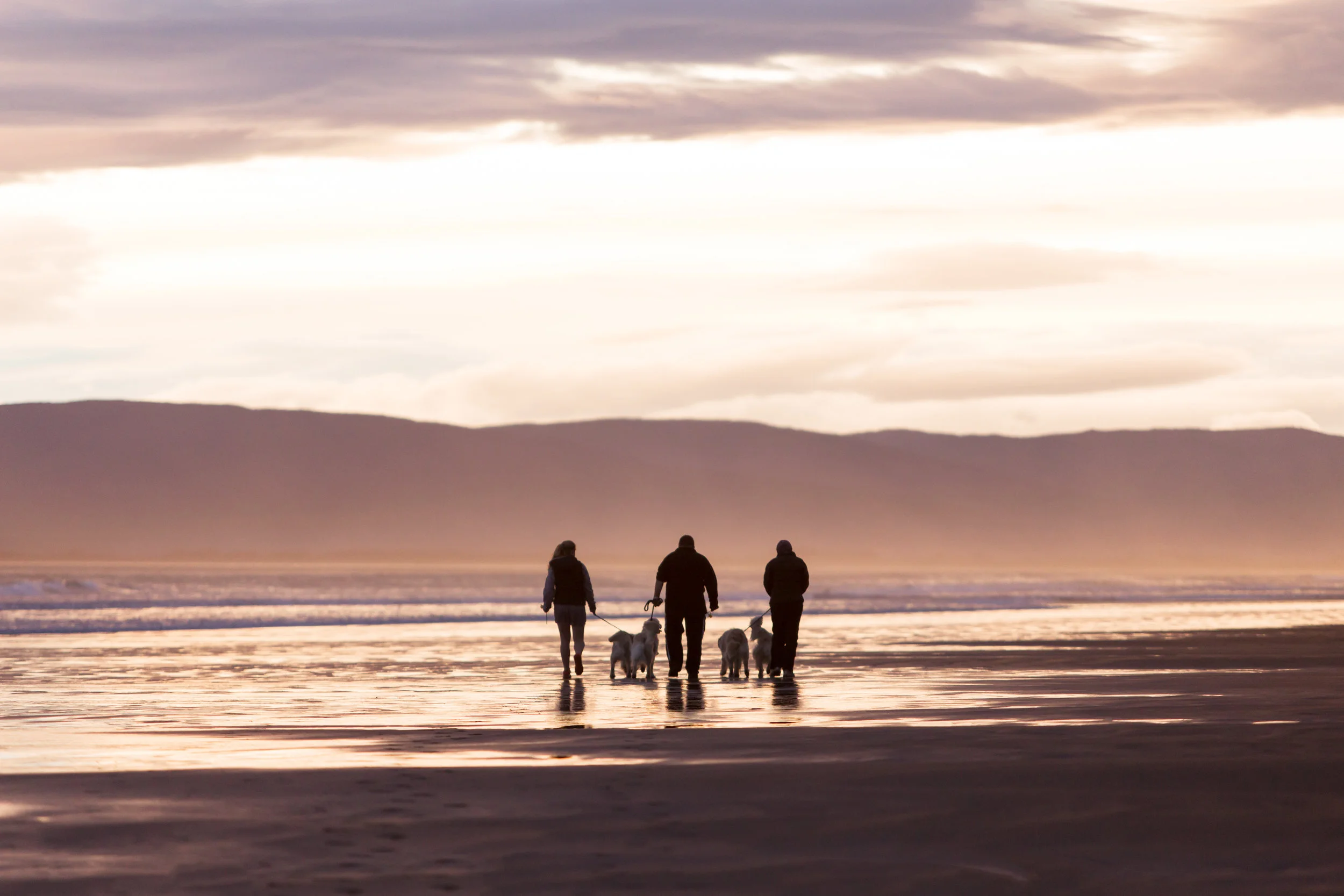 Kelly Fur Babies-1.jpg