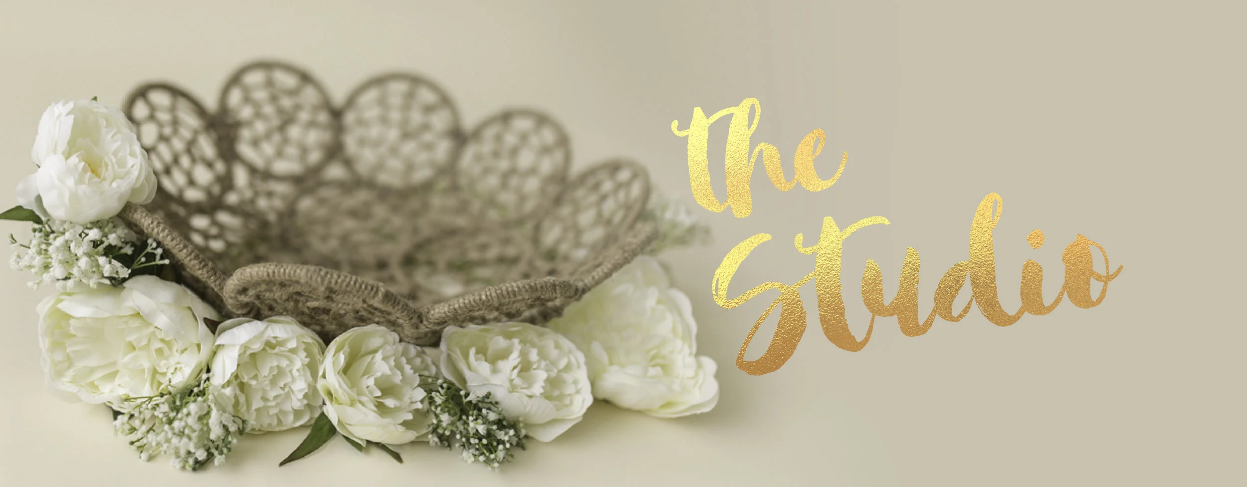 PP website headers - studio-01.jpg