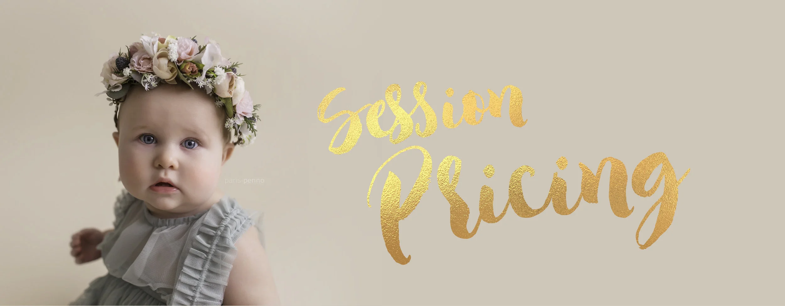 PP website headers- pricing-01.jpg