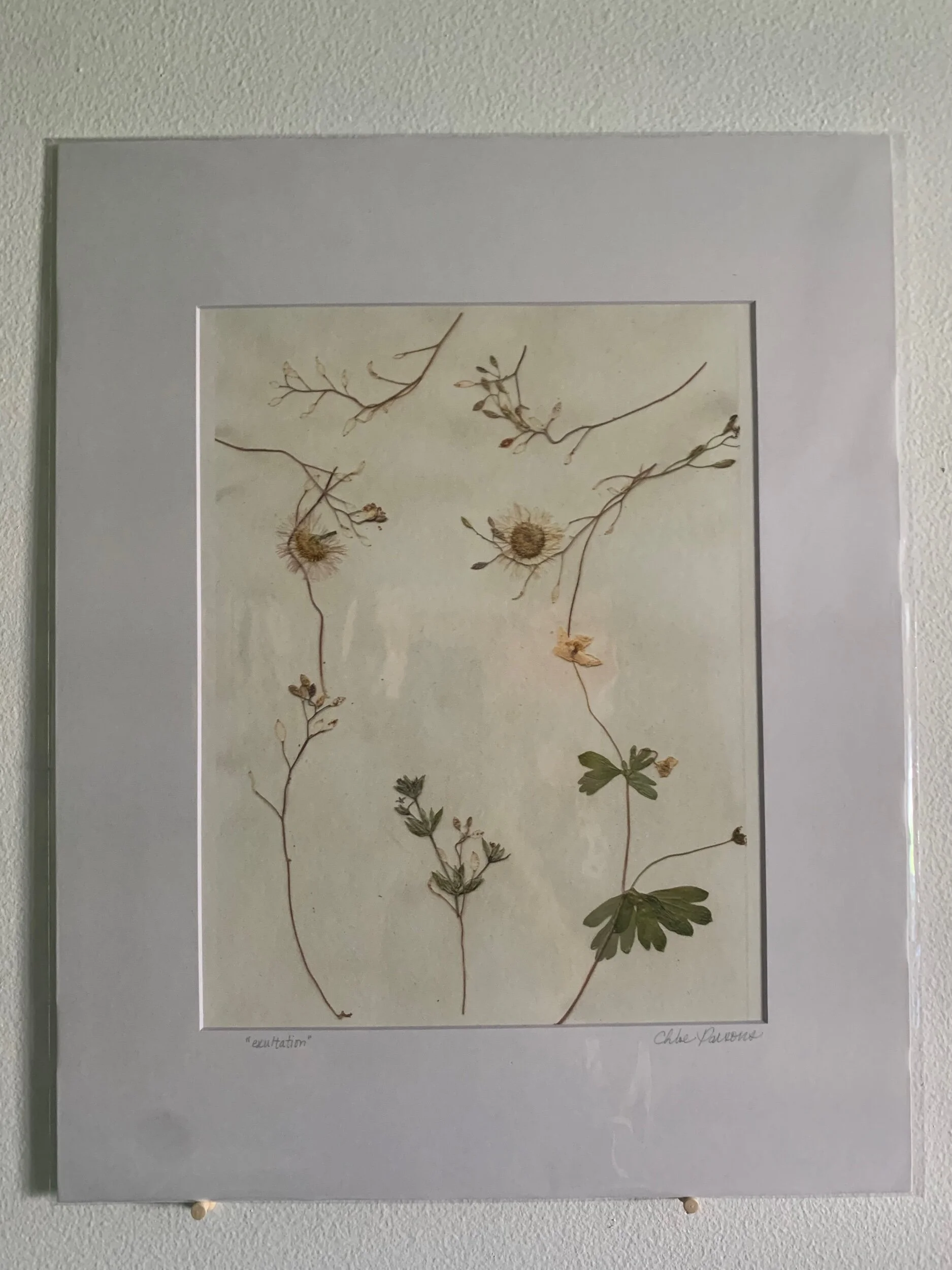 Exultation - 16x20 giclée print