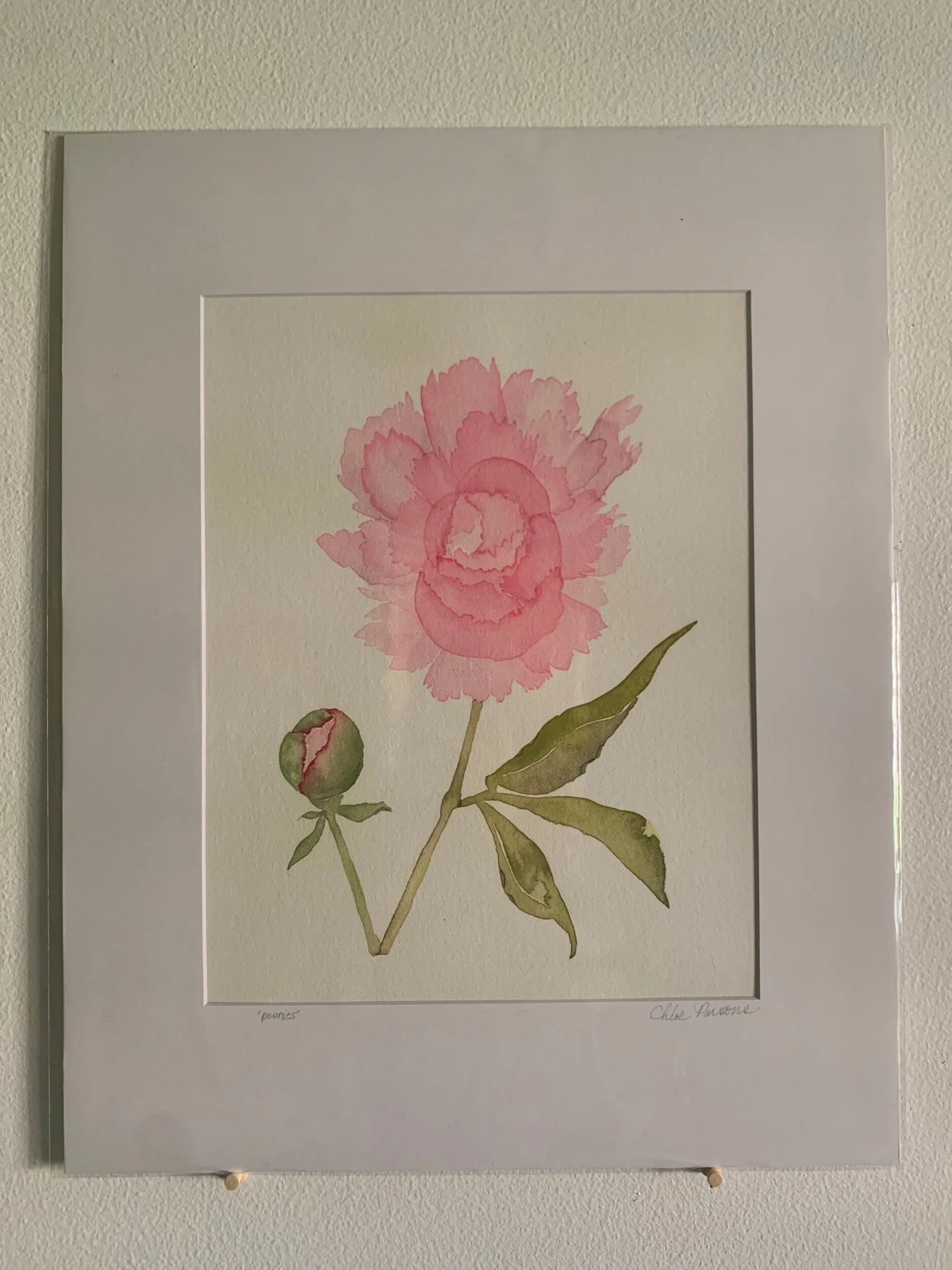 Peonies - giclée prints