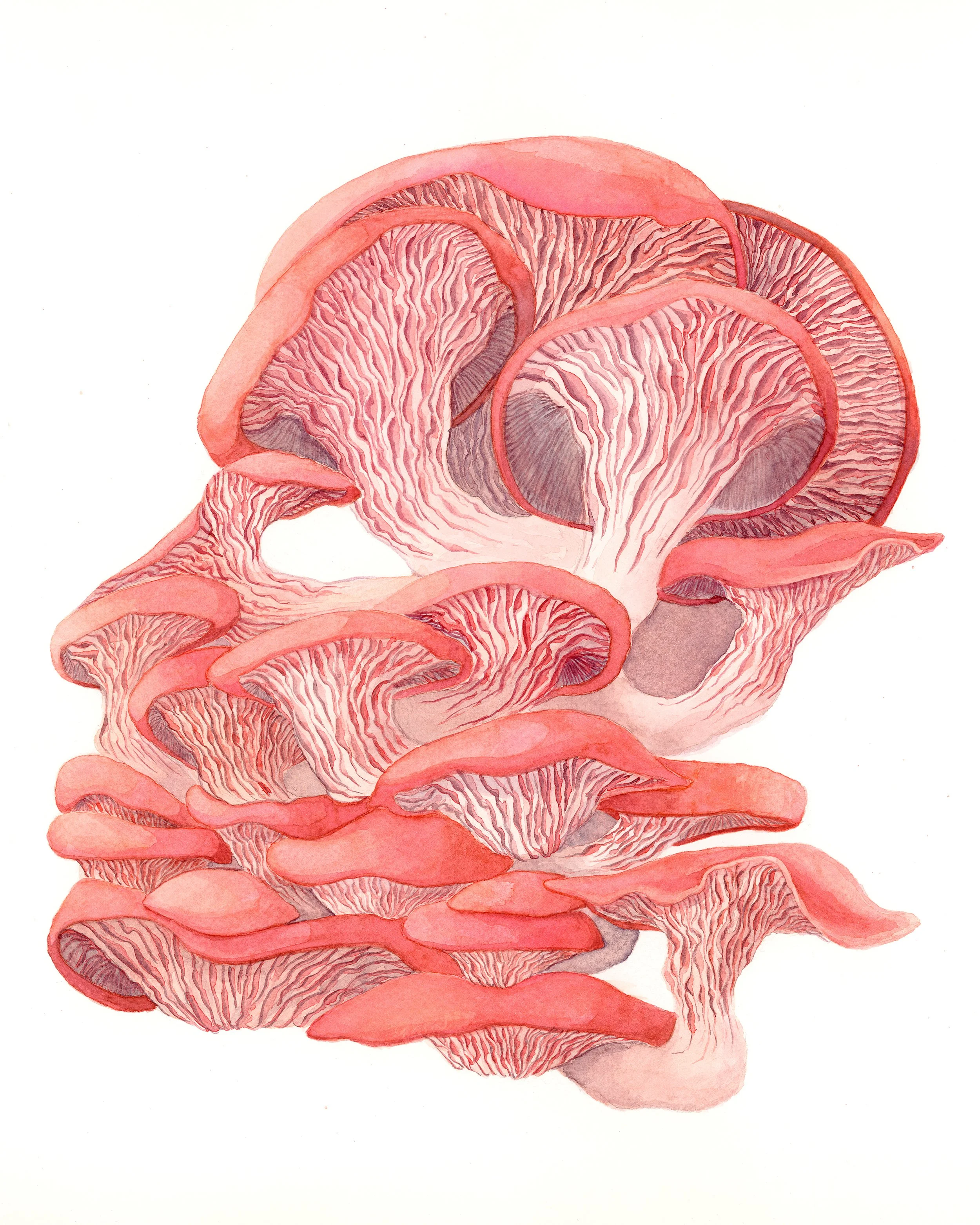 Mycel-i-am #2 - Giclée Print