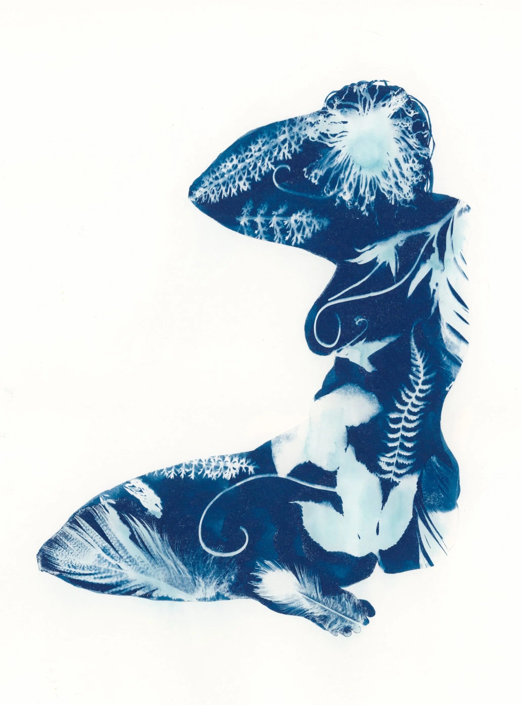 Cyanotype+Figure+2.jpg