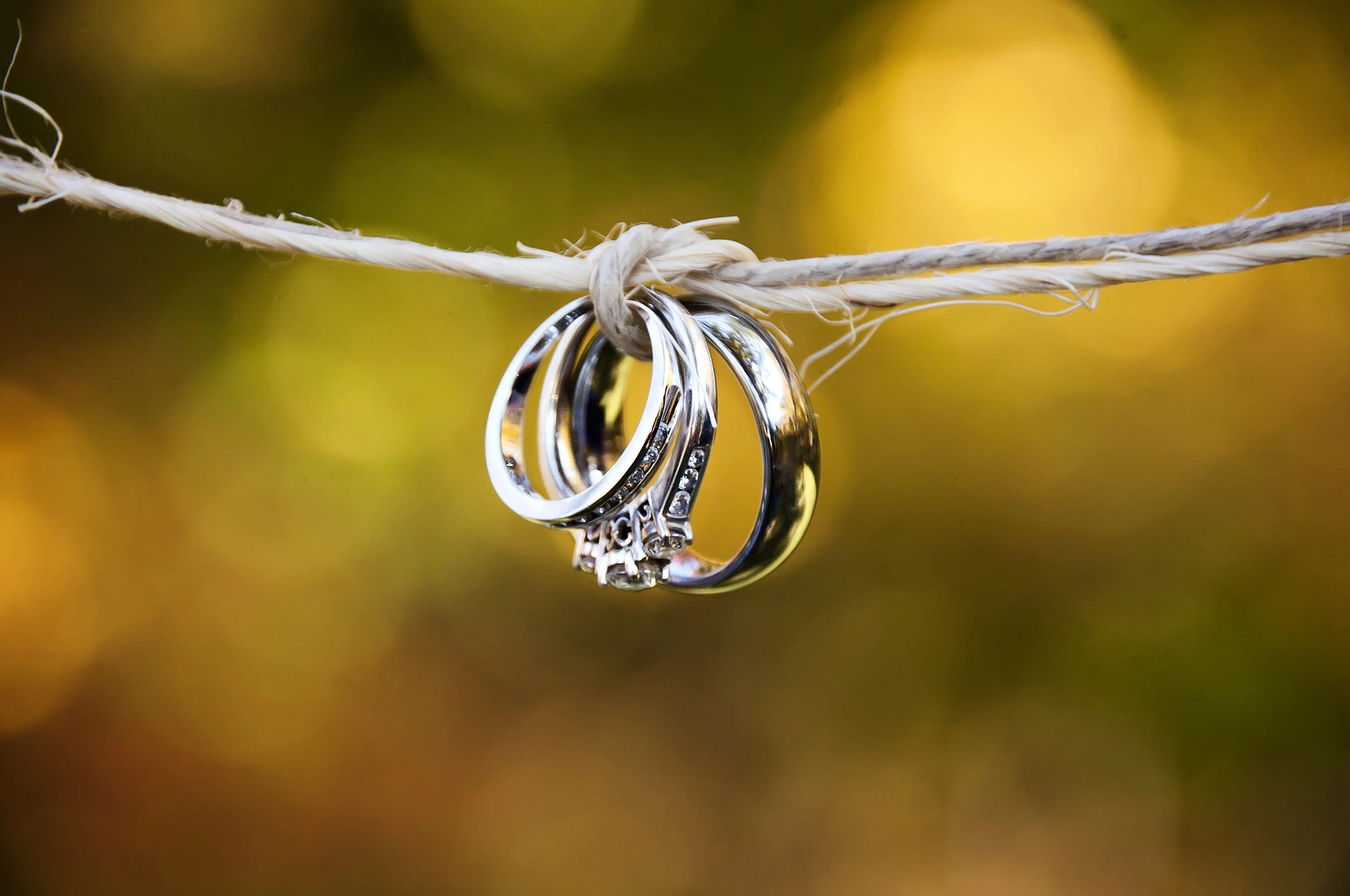 Rings2.jpg
