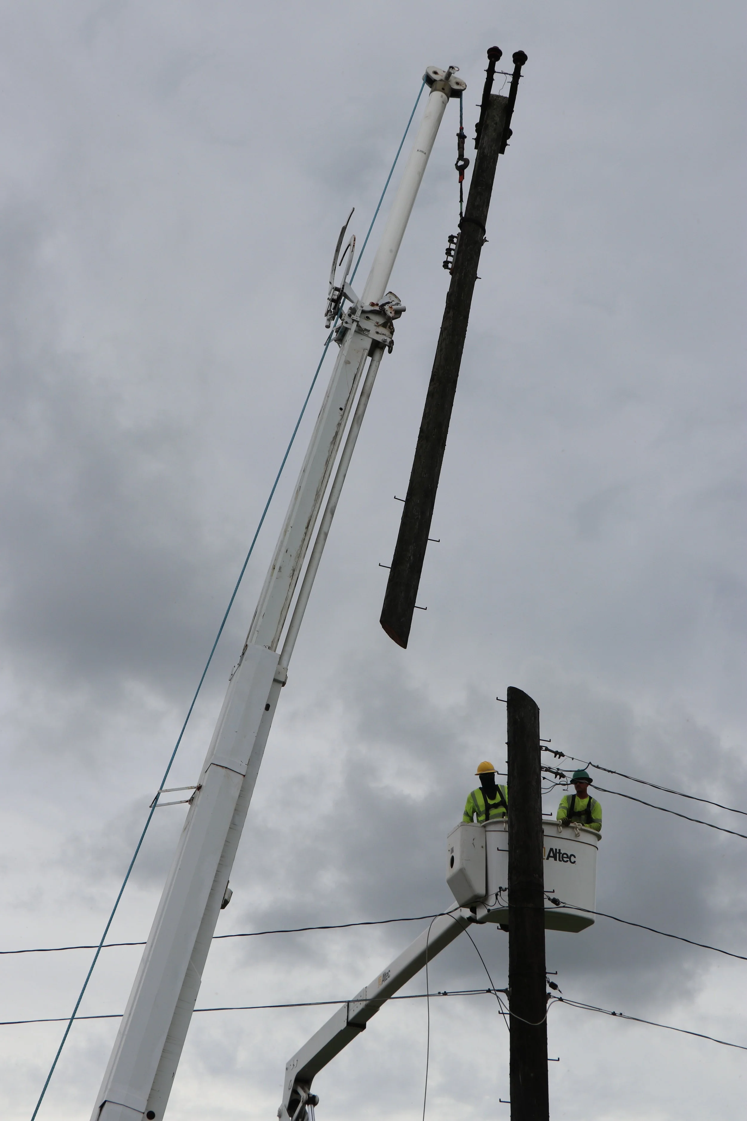 IMG_0400 crows nest cut pole3.JPG