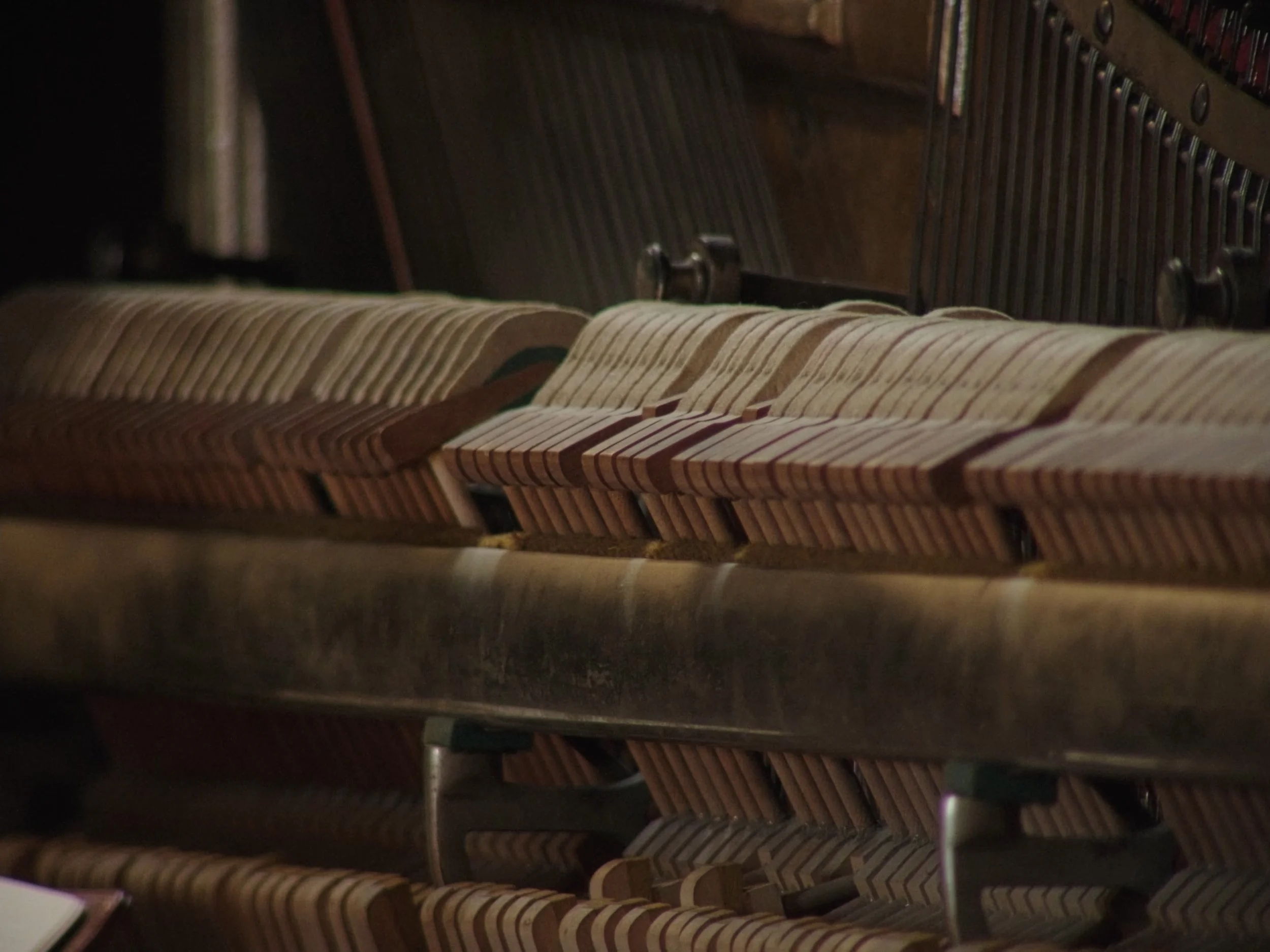 DocuDeluxe_Edit_PictLock_v3_4K_H264_nosubs-0019.jpg