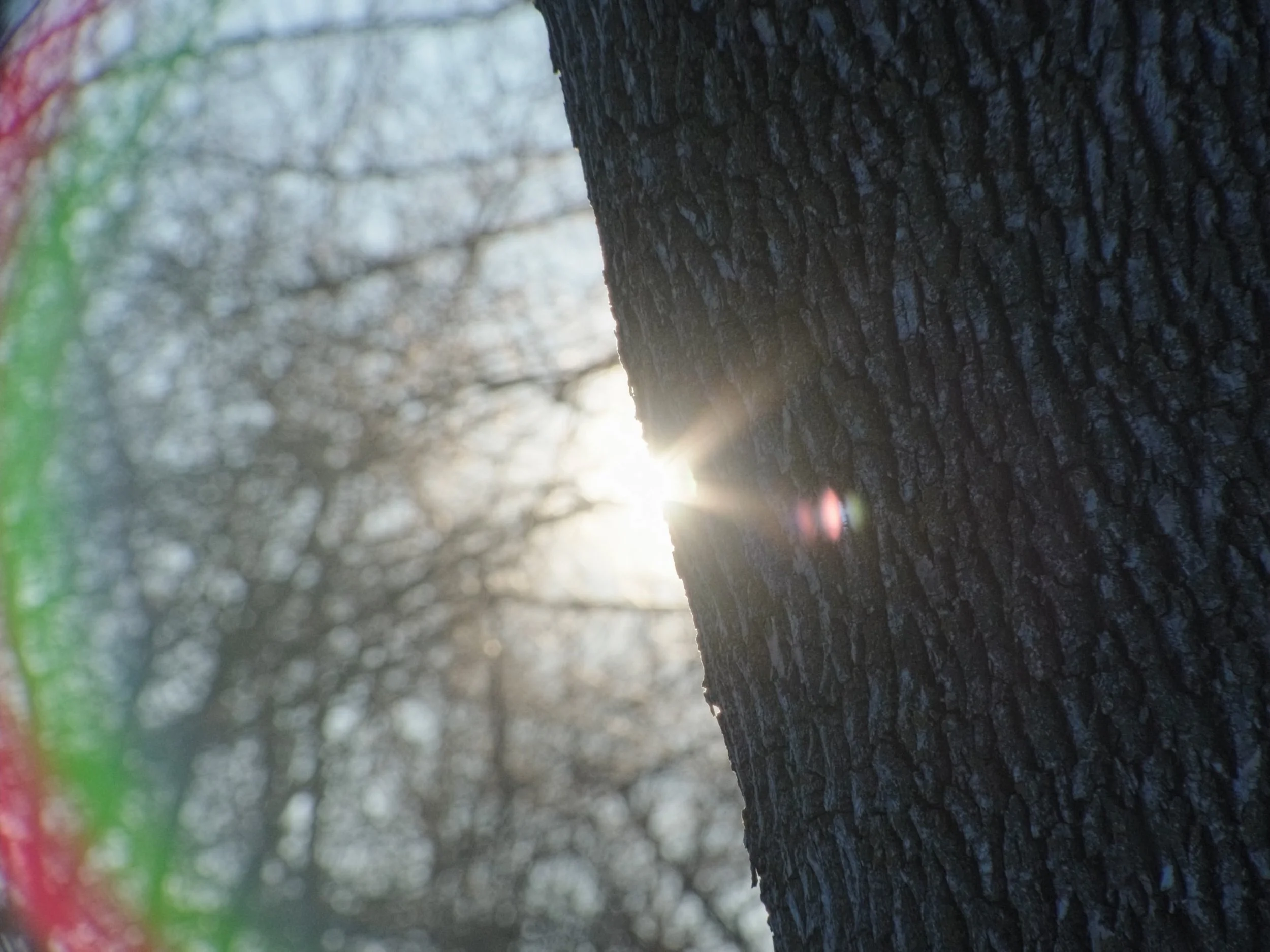 DocuDeluxe_Edit_PictLock_v3_4K_H264_nosubs-0061.jpg
