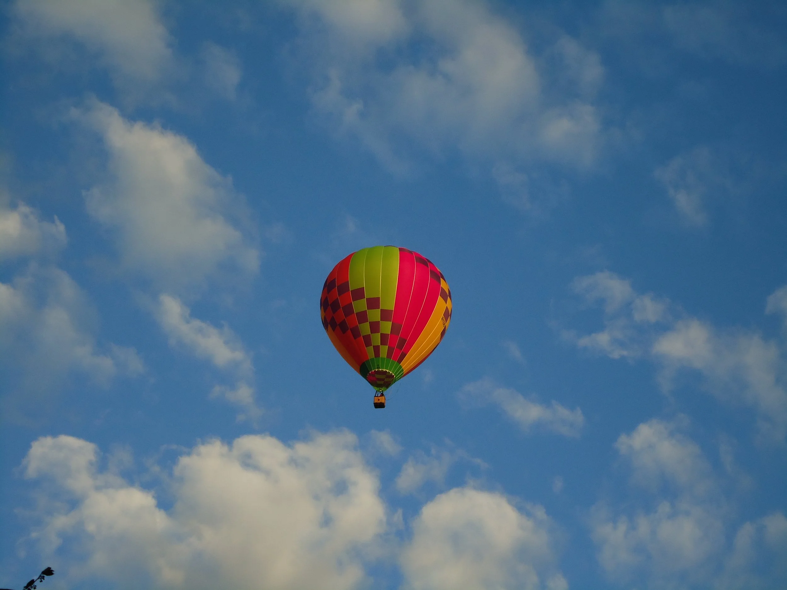 78. Jan- MAr 2012 055.JPG