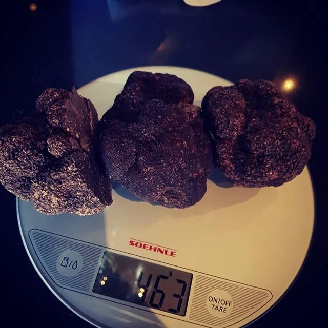 That should get us through the weekend. Measured to the last gram. Potato and truffle agnolotti del plin. #italianandsons #truffle #pasta #pizza #vino #wine #canberra #braddon #onehat #italian #italiansdoitbest #primaryideas #simplepleasuresoflife