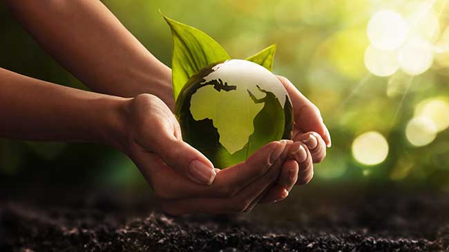 Waste Management