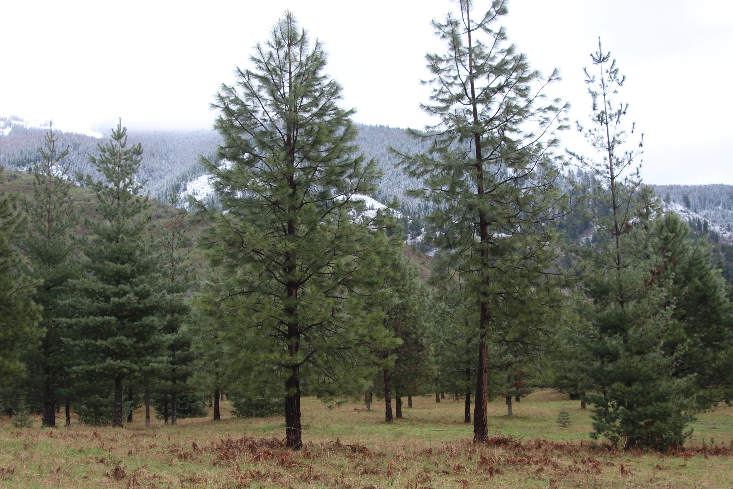 April and May 2014 068.jpg