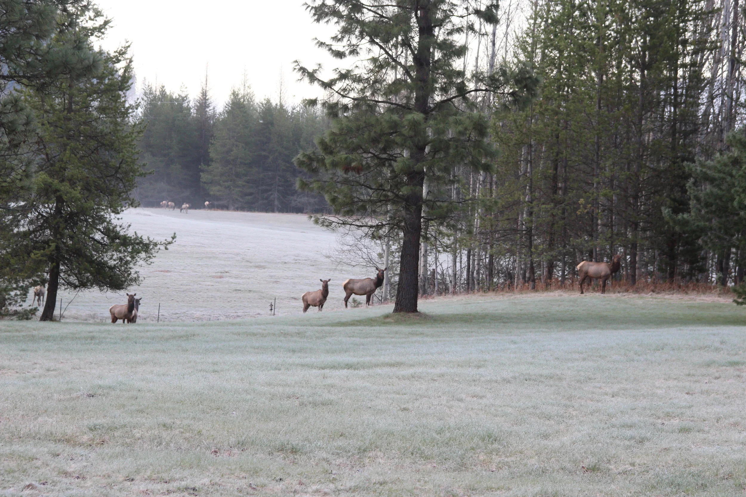 April and May 2014 091.jpg