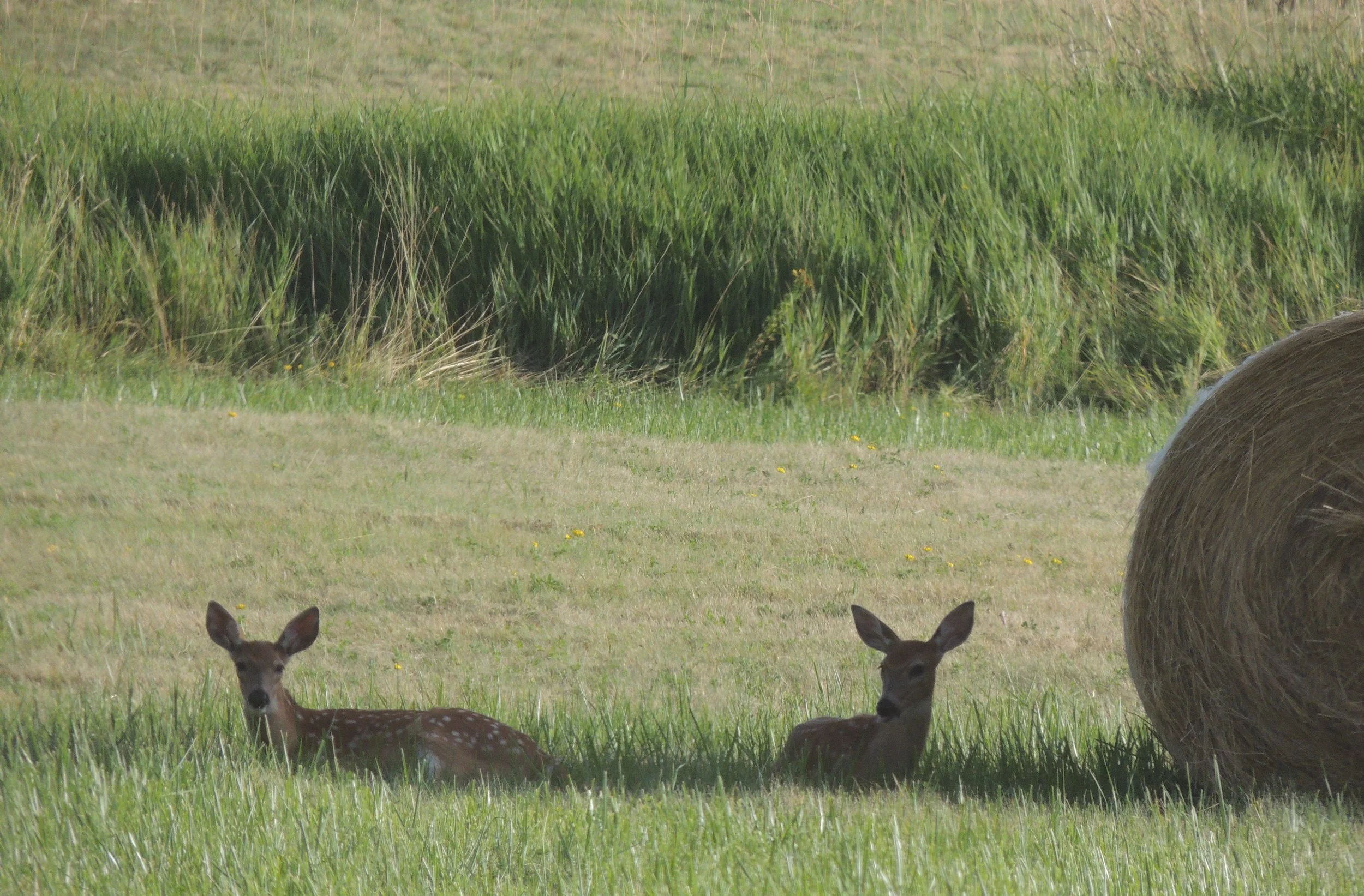 July August 2013 164.jpg