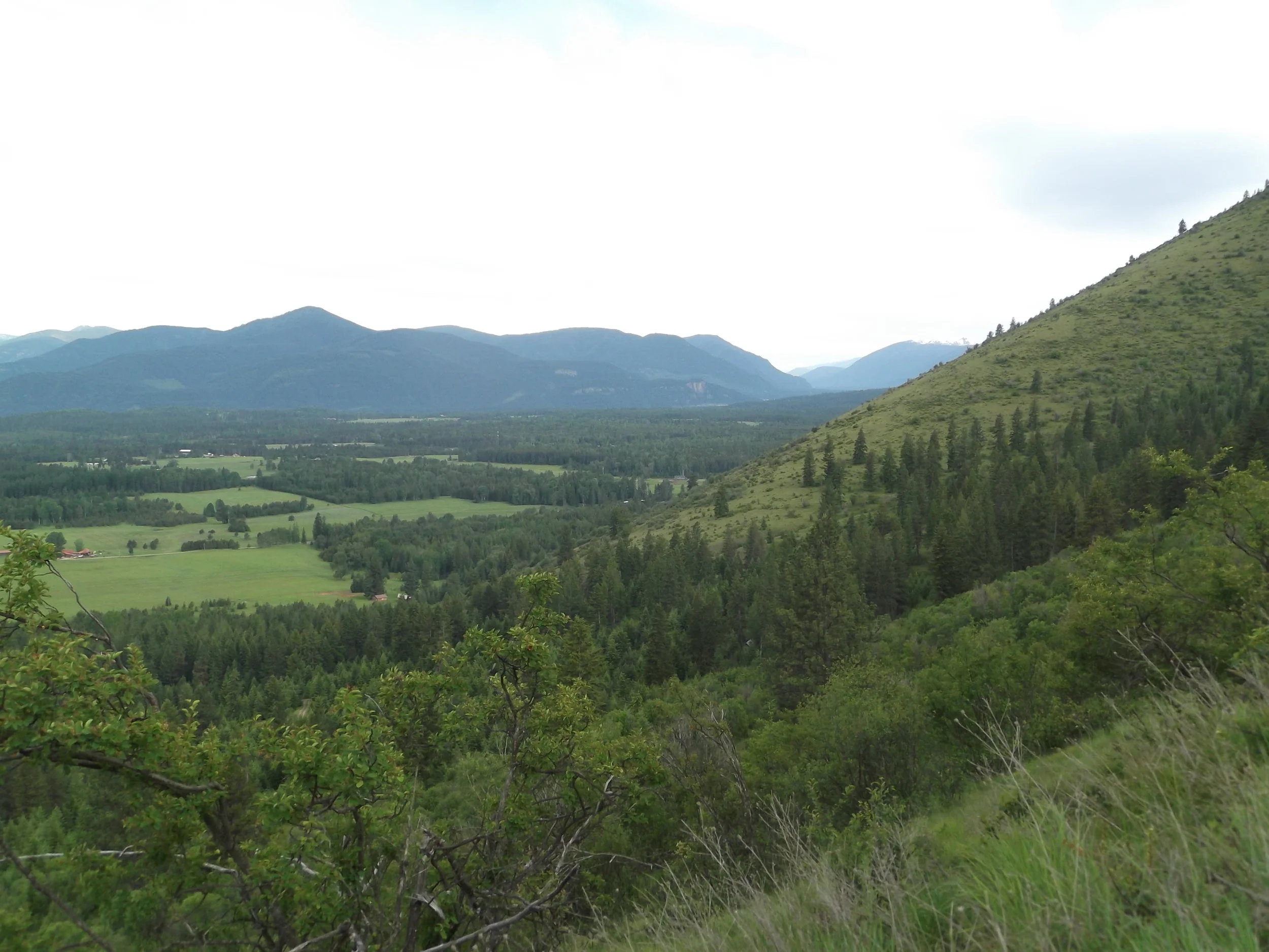 spring and summer of 2012 011.jpg