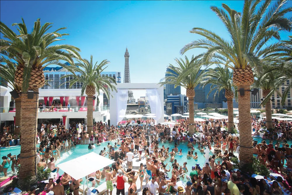 drais_4.jpg