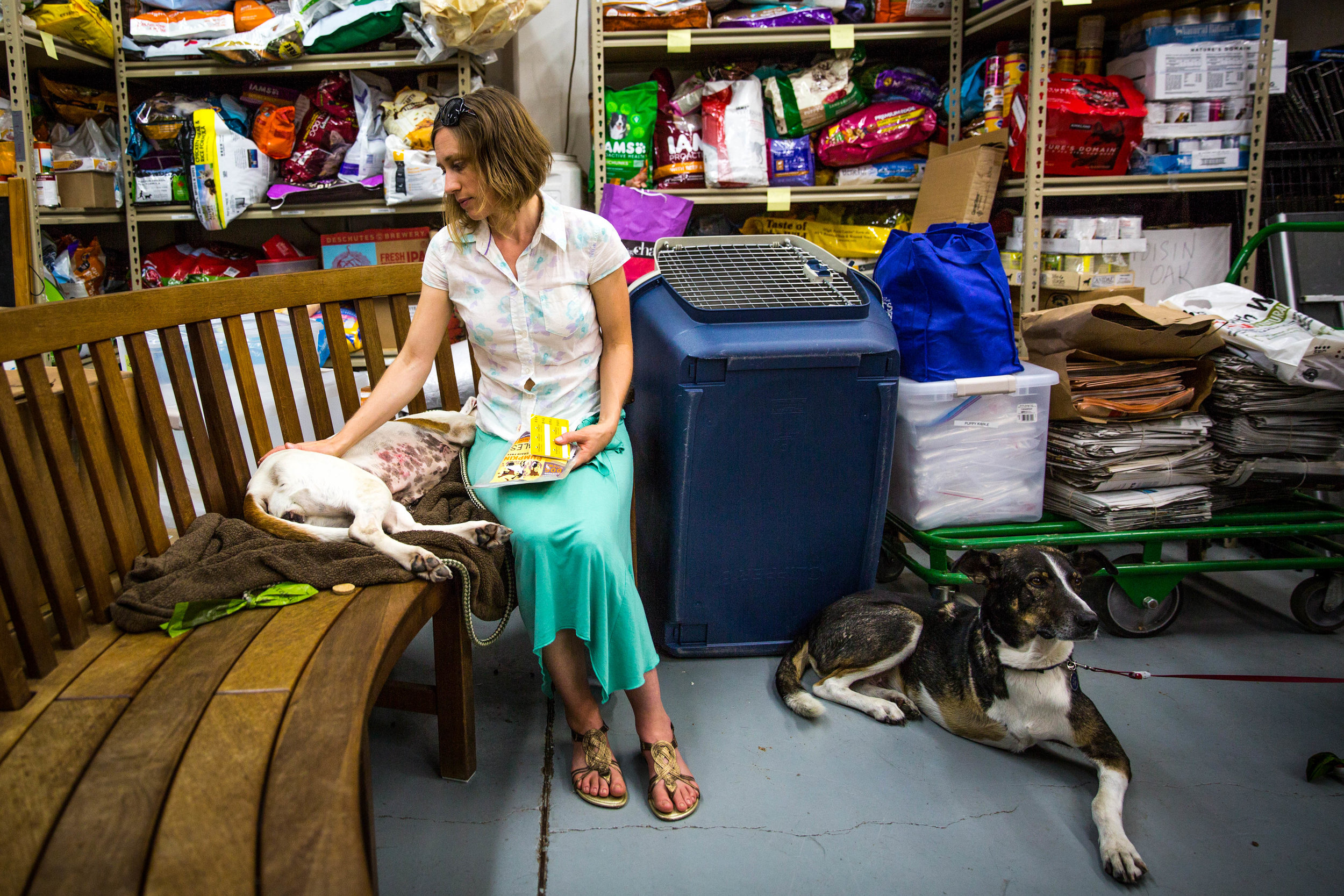 Bethany Sullivan sits in the front lobby at Milo Foundation on Wednesday, Oct. 25. She took Diana (left), an American bulldog fostered a few days ago, back to remove stitches left by a surgery. Tory (right), whose right front leg was amputated due t