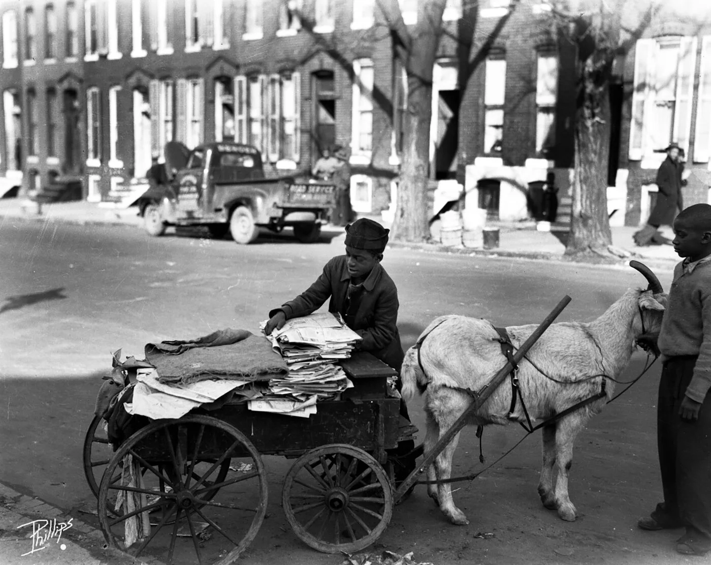 Goat+square web 2.jpg