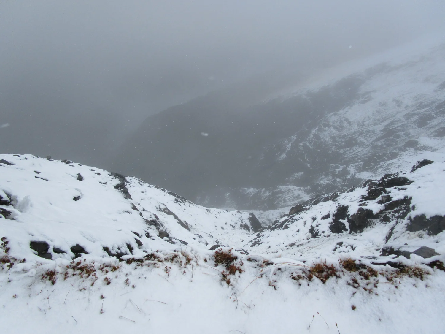 Snowflakes to the Sea