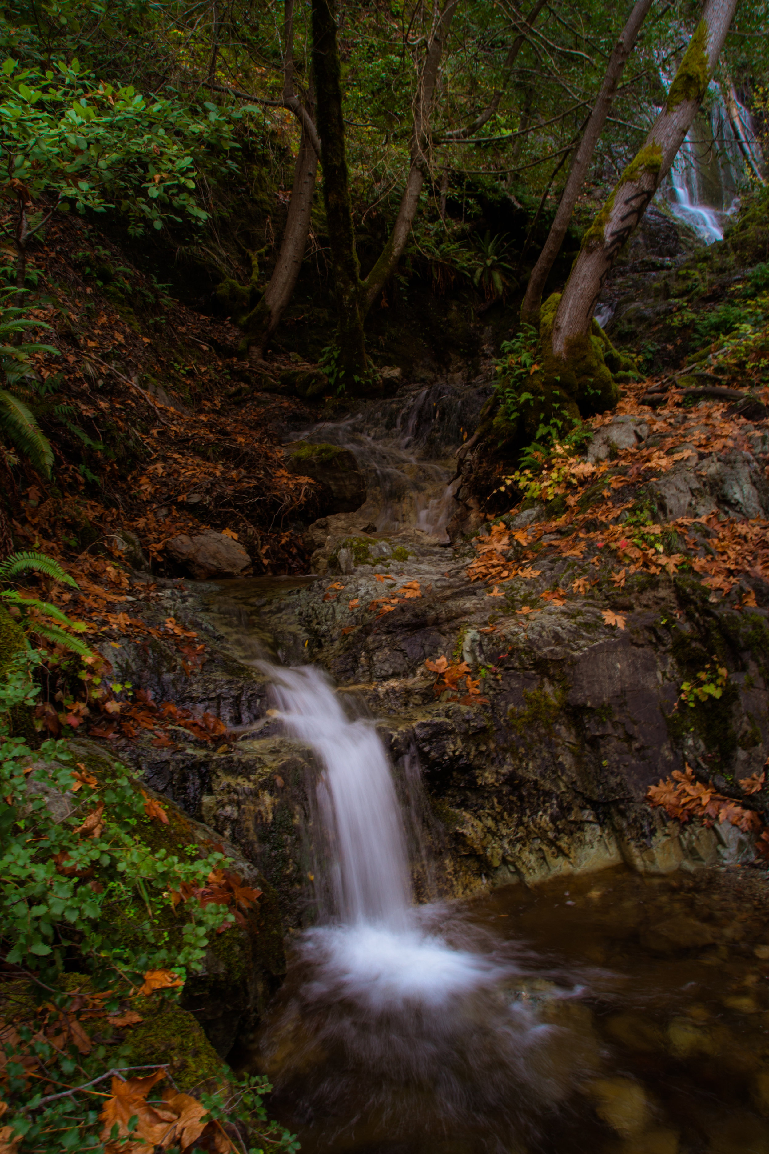 Frosty November-21.jpg