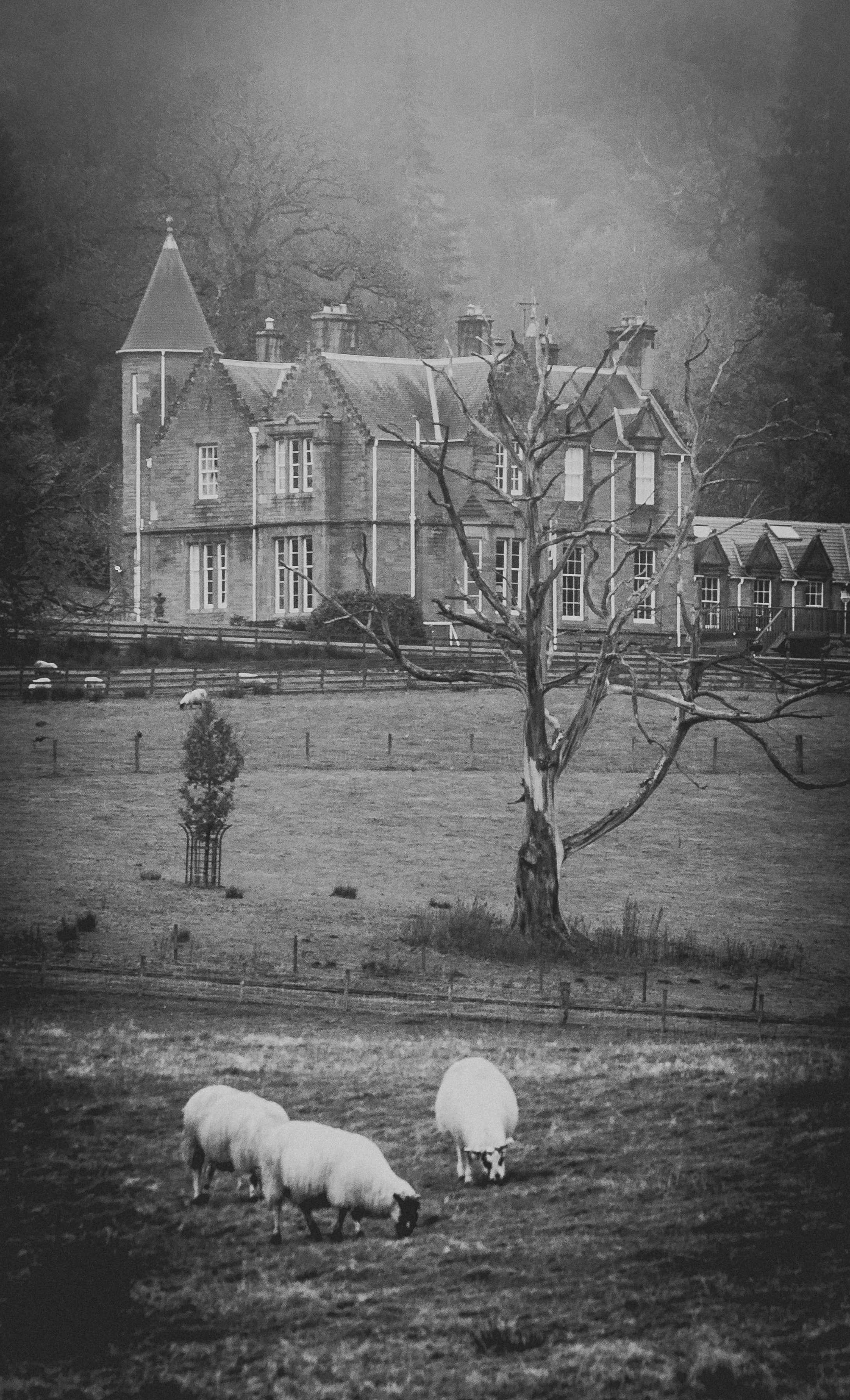 Scotish highlands 2017-9.jpg