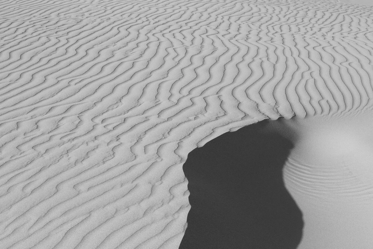 Oceano-1-13.jpg