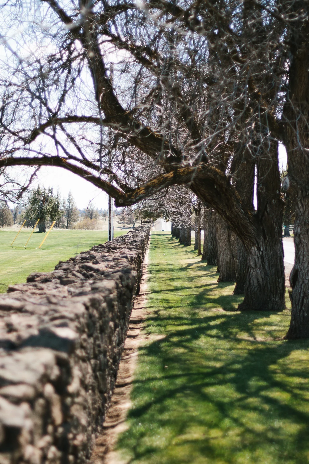 April_19-1-3.jpg