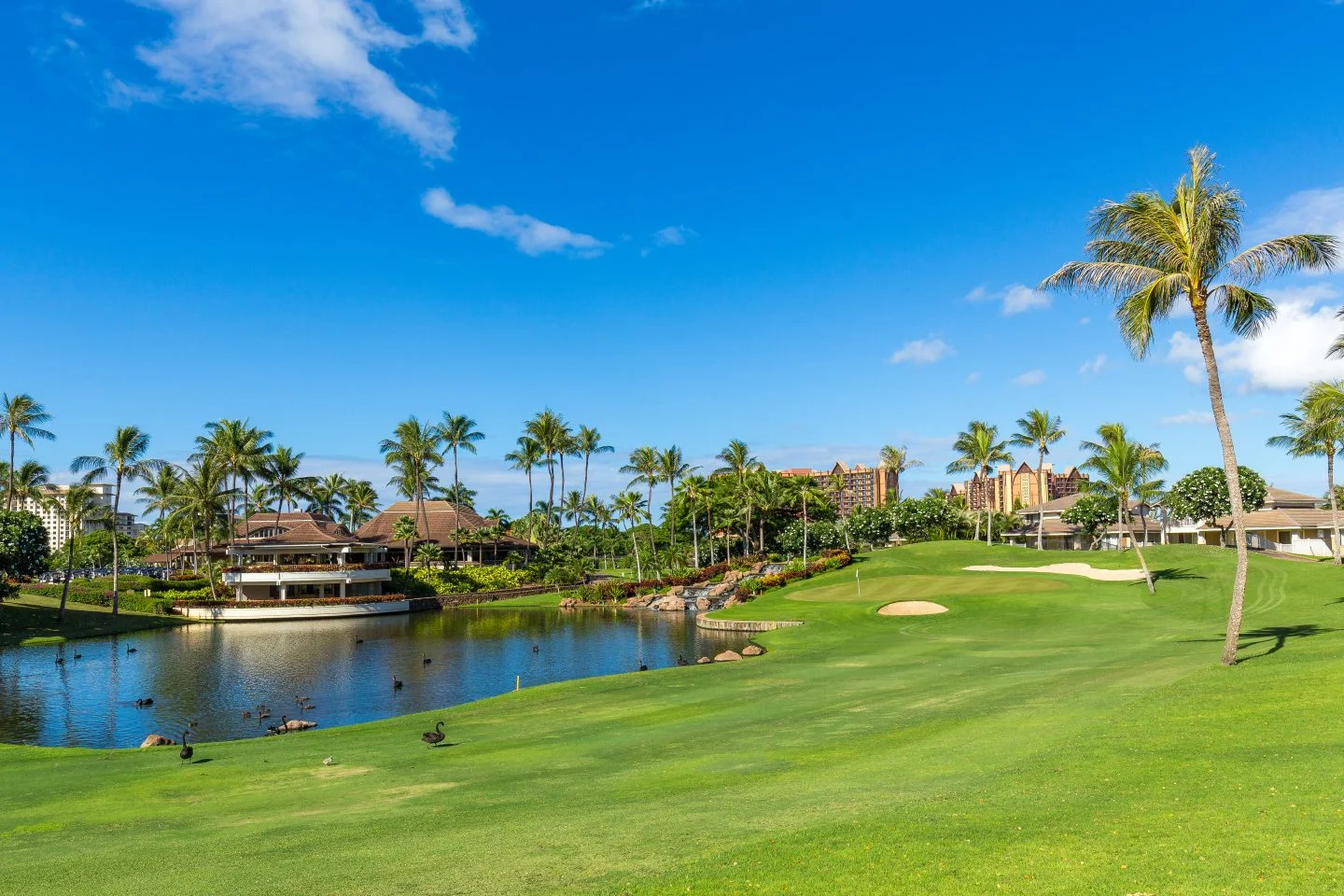 koolina.jpg