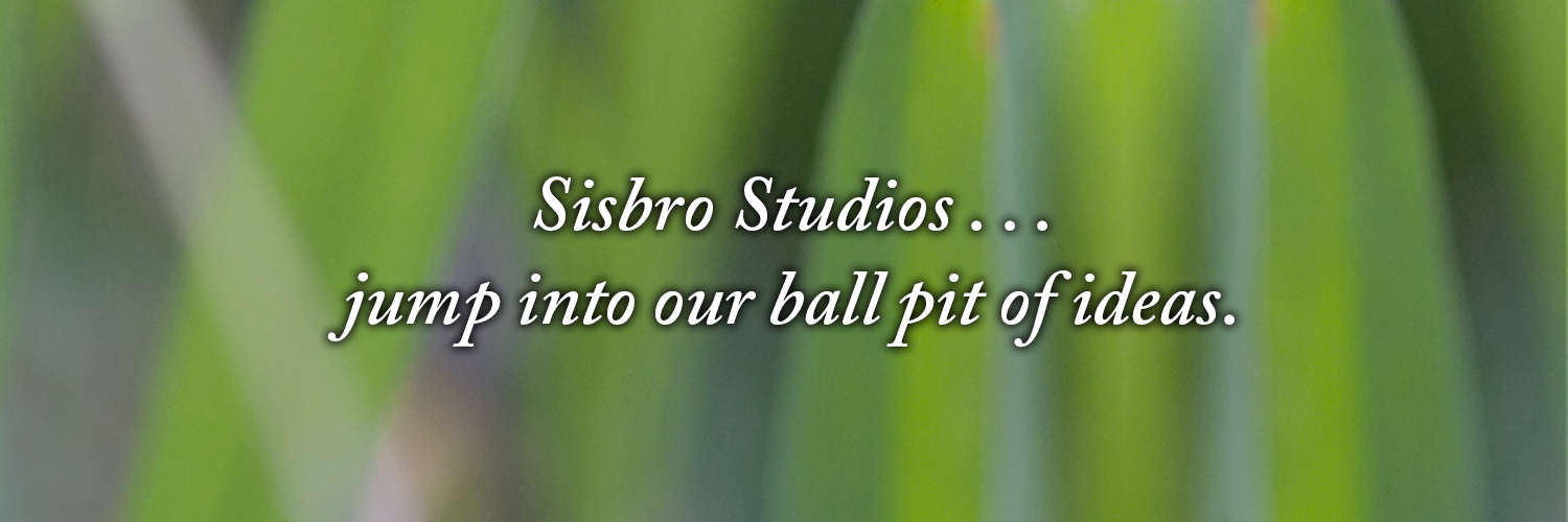 Sisbro Studios ... jump into our ball pit of ideas.