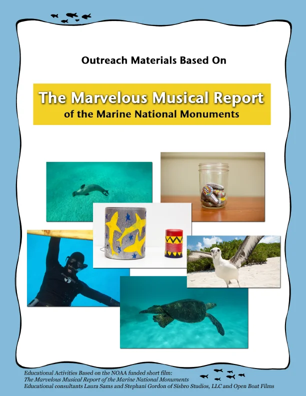Marvelous Musical Report Activities
