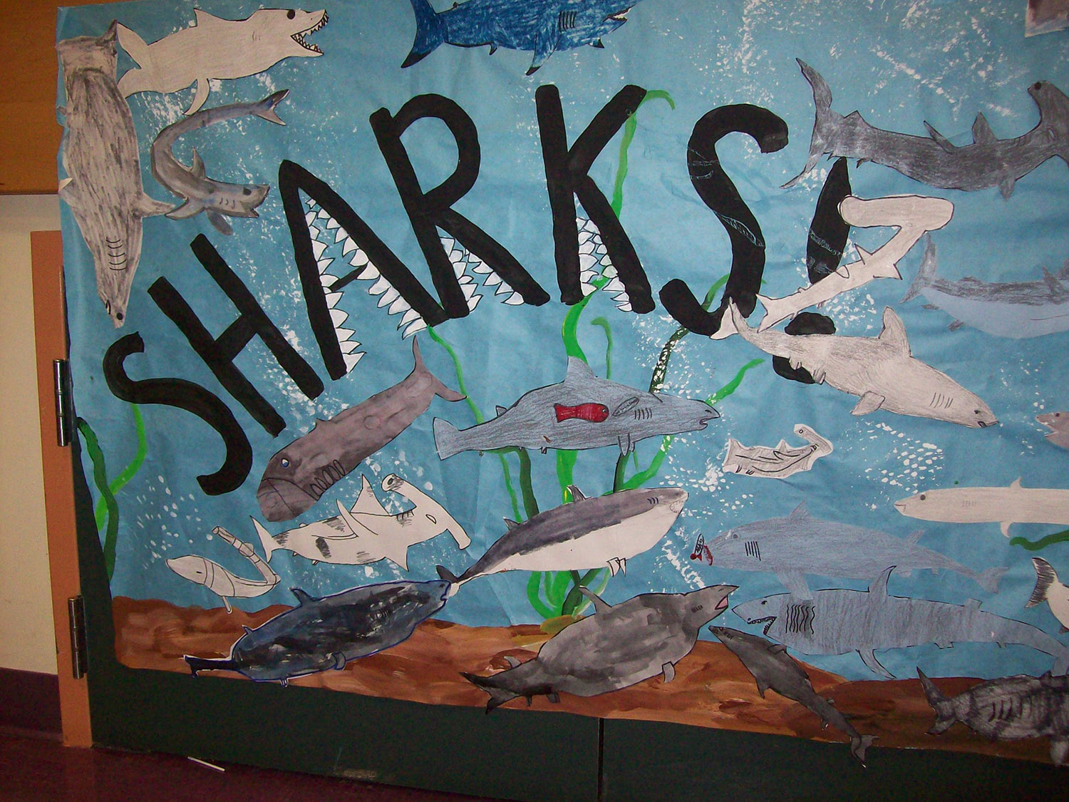 Shark Bulletin Board