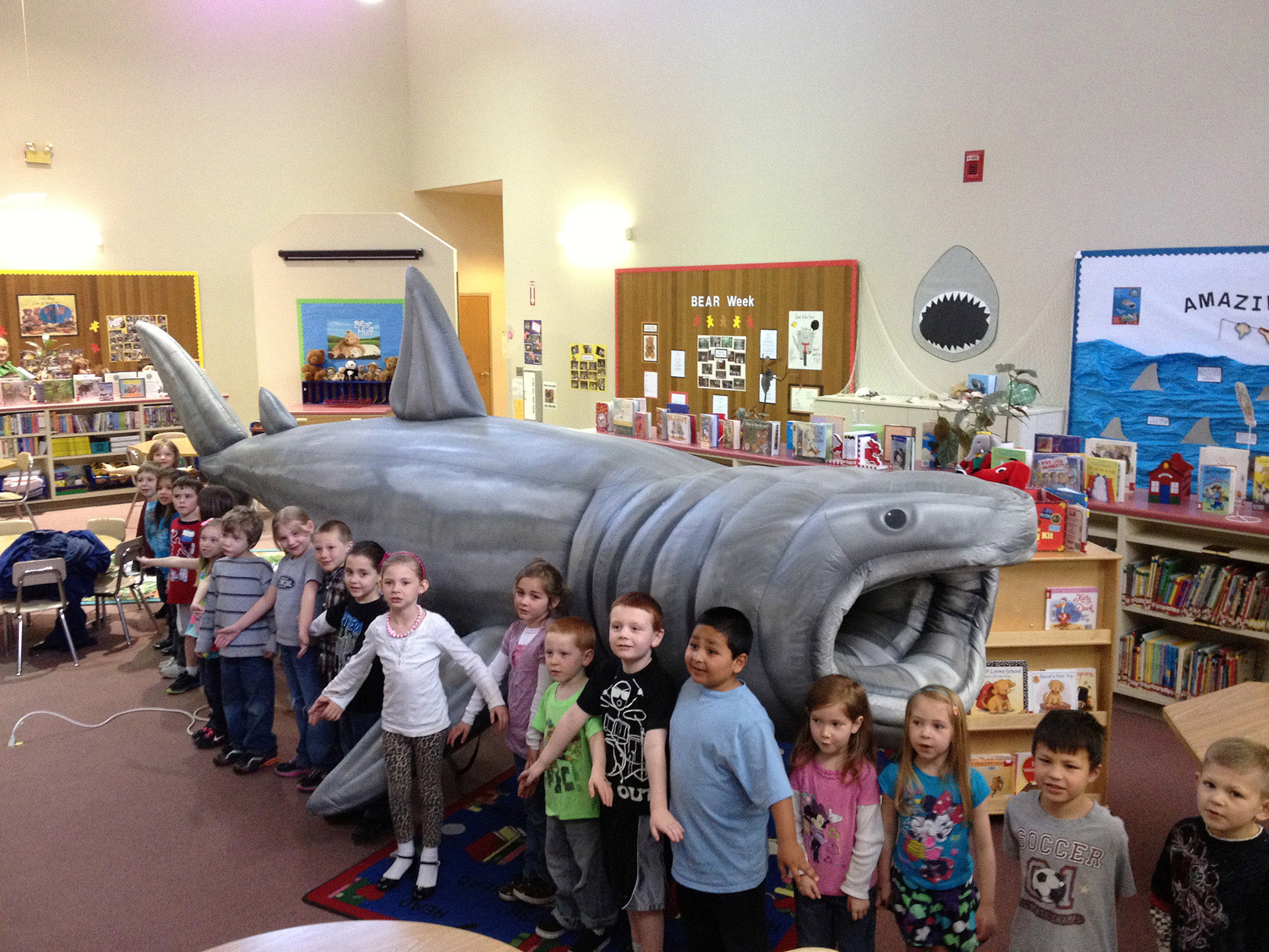 Basking Shark Size